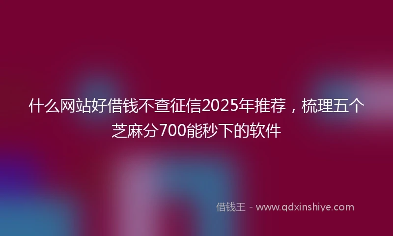什么网站好借钱不查征信2025年推荐，梳理五个芝麻分700能秒下的软件
