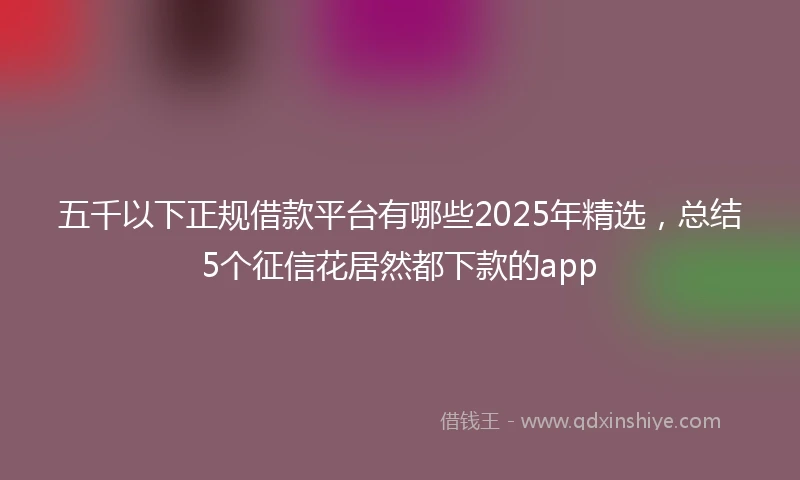 五千以下正规借款平台有哪些2025年精选，总结5个征信花居然都下款的app