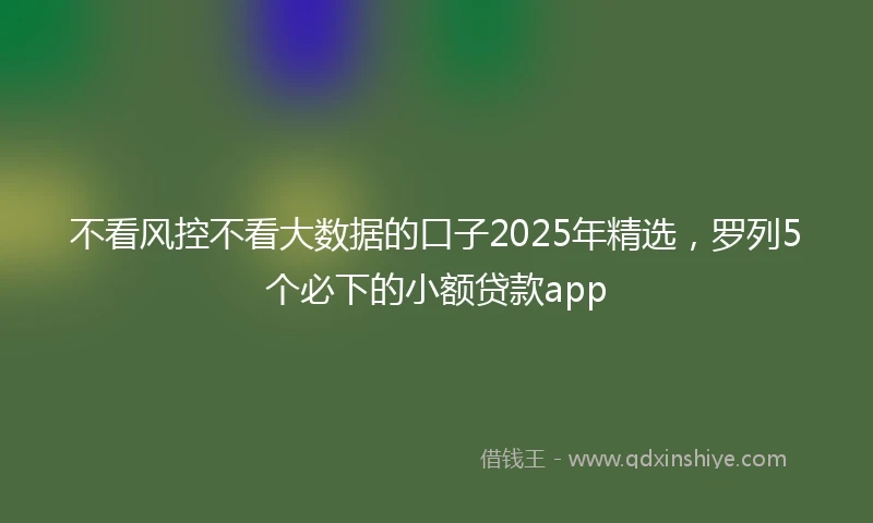 不看风控不看大数据的口子2025年精选，罗列5个必下的小额贷款app