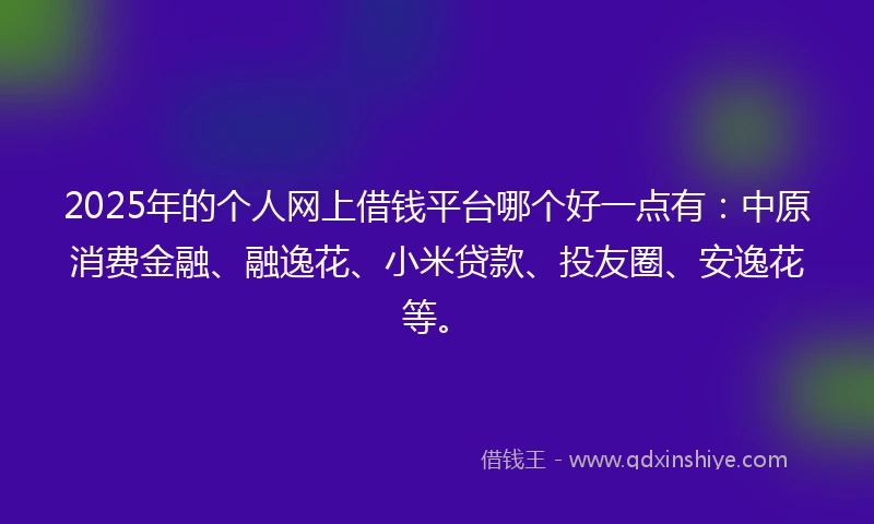 2025年的个人网上借钱平台哪个好一点有：中原消费金融、融逸花、小米贷款、投友圈、安逸花等。
