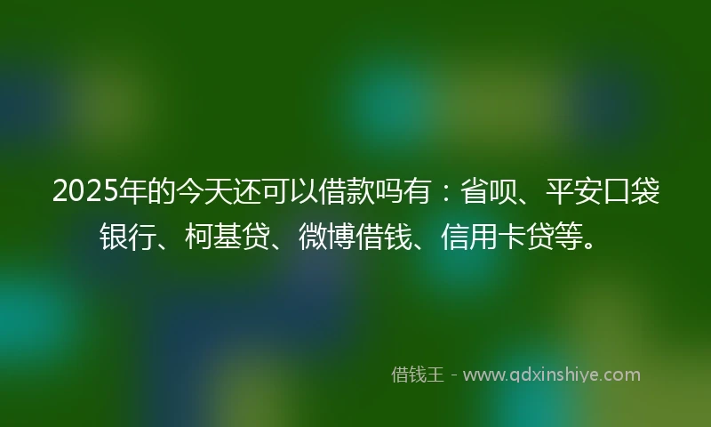 2025年的今天还可以借款吗有：省呗、平安口袋银行、柯基贷、微博借钱、信用卡贷等。