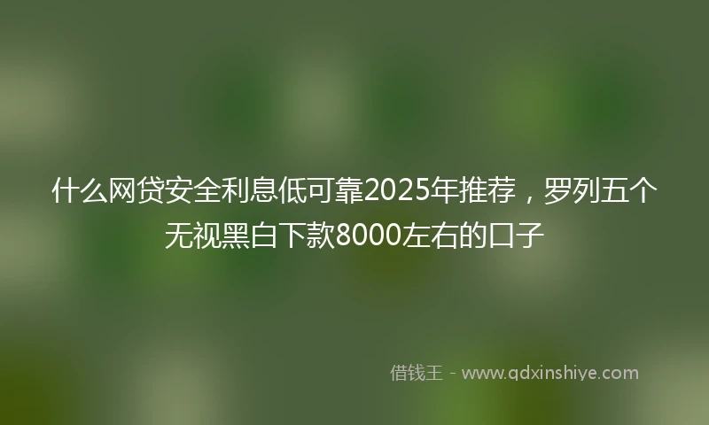 什么网贷安全利息低可靠2025年推荐，罗列五个无视黑白下款8000左右的口子