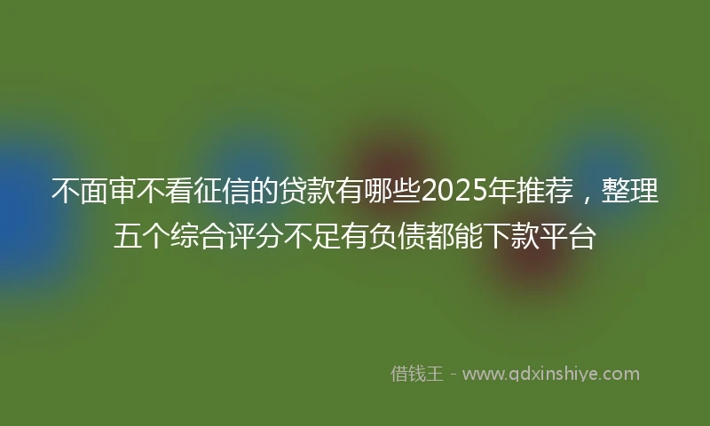 不面审不看征信的贷款有哪些2025年推荐，整理五个综合评分不足有负债都能下款平台