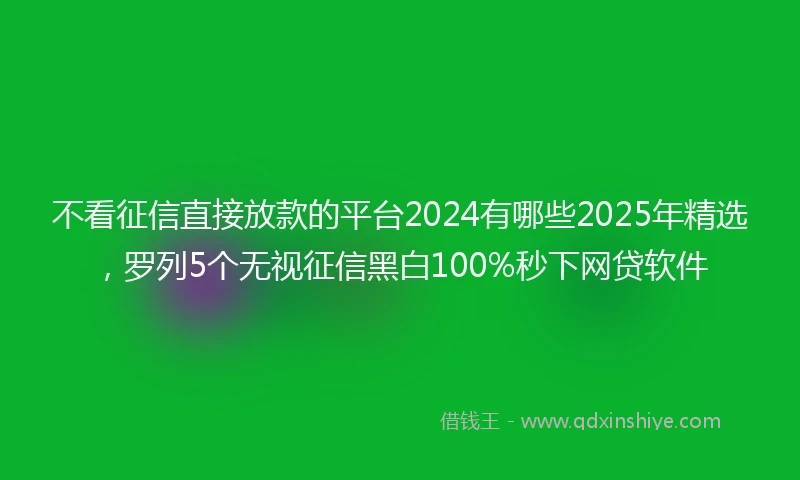 不看征信直接放款的平台2024有哪些2025年精选，罗列5个无视征信黑白100%秒下网贷软件