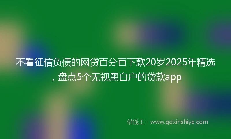 不看征信负债的网贷百分百下款20岁2025年精选，盘点5个无视黑白户的贷款app