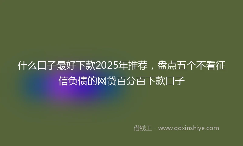 什么口子最好下款2025年推荐，盘点五个不看征信负债的网贷百分百下款口子