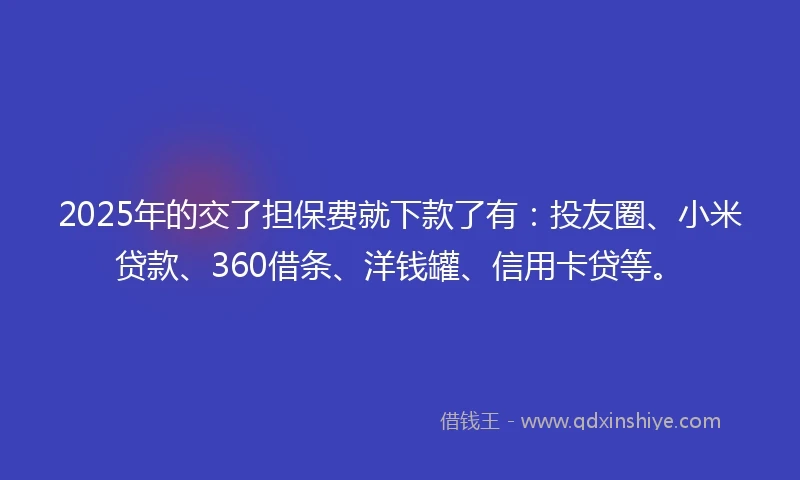 2025年的交了担保费就下款了有：投友圈、小米贷款、360借条、洋钱罐、信用卡贷等。