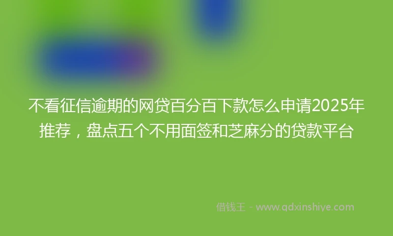 不看征信逾期的网贷百分百下款怎么申请2025年推荐，盘点五个不用面签和芝麻分的贷款平台