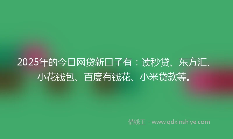 2025年的今日网贷新口子有：读秒贷、东方汇、小花钱包、百度有钱花、小米贷款等。