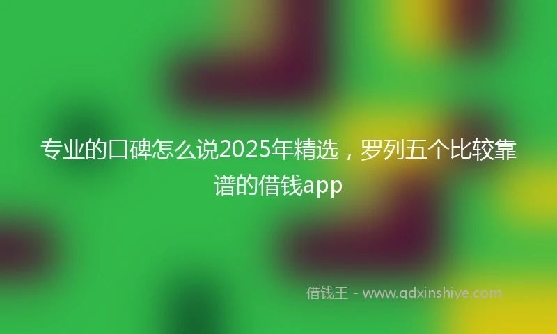 专业的口碑怎么说2025年精选，罗列五个比较靠谱的借钱app