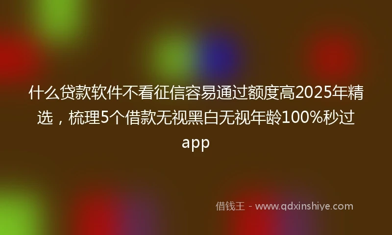 什么贷款软件不看征信容易通过额度高2025年精选，梳理5个借款无视黑白无视年龄100%秒过app