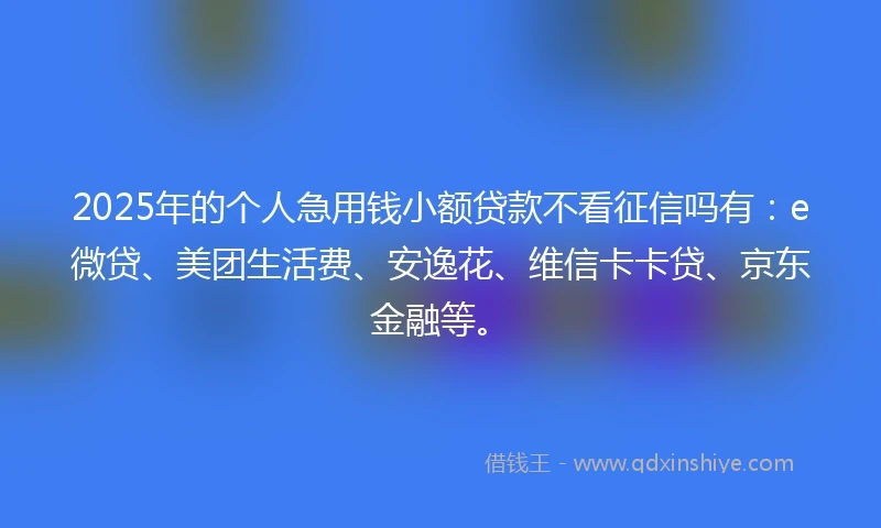 2025年的个人急用钱小额贷款不看征信吗有：e微贷、美团生活费、安逸花、维信卡卡贷、京东金融等。