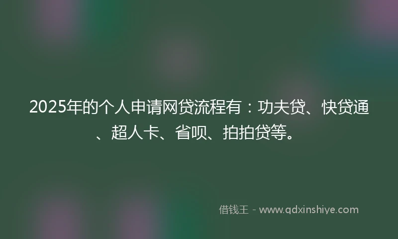 2025年的个人申请网贷流程有：功夫贷、快贷通、超人卡、省呗、拍拍贷等。