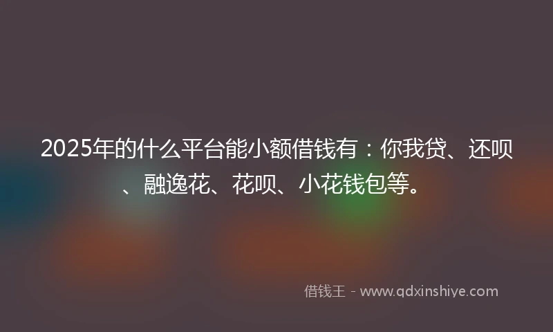 2025年的什么平台能小额借钱有：你我贷、还呗、融逸花、花呗、小花钱包等。