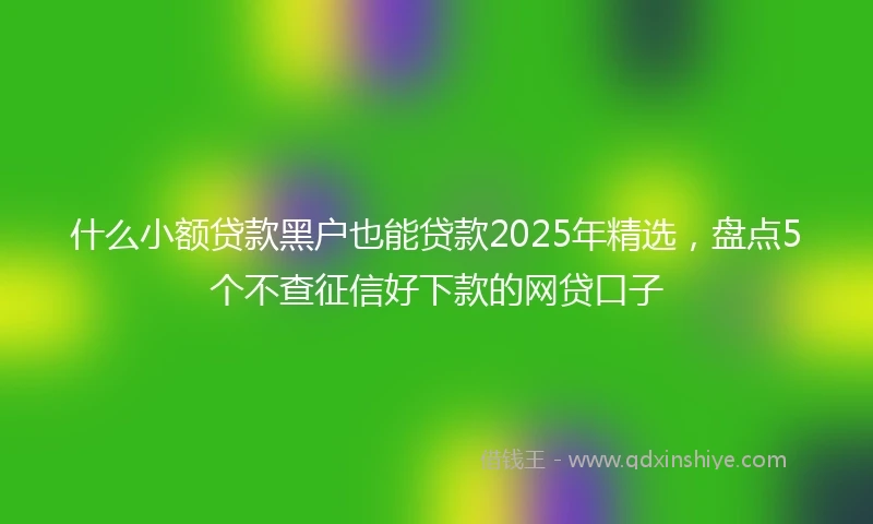 什么小额贷款黑户也能贷款2025年精选，盘点5个不查征信好下款的网贷口子