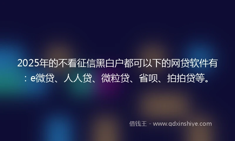 2025年的不看征信黑白户都可以下的网贷软件有：e微贷、人人贷、微粒贷、省呗、拍拍贷等。