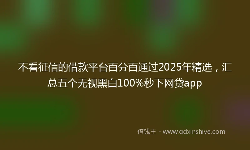 不看征信的借款平台百分百通过2025年精选，汇总五个无视黑白100%秒下网贷app