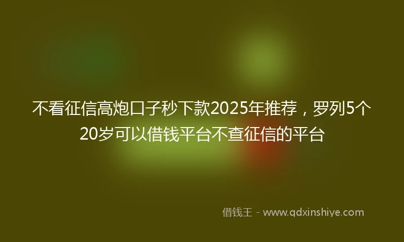 不看征信高炮口子秒下款2025年推荐，罗列5个20岁可以借钱平台不查征信的平台