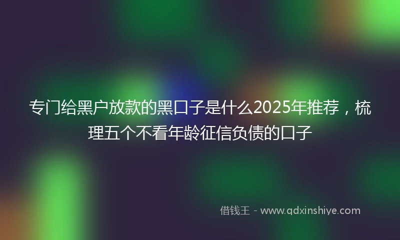 专门给黑户放款的黑口子是什么2025年推荐，梳理五个不看年龄征信负债的口子