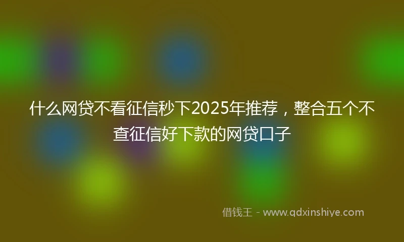 什么网贷不看征信秒下2025年推荐，整合五个不查征信好下款的网贷口子