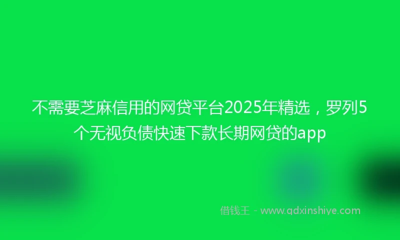 不需要芝麻信用的网贷平台2025年精选，罗列5个无视负债快速下款长期网贷的app