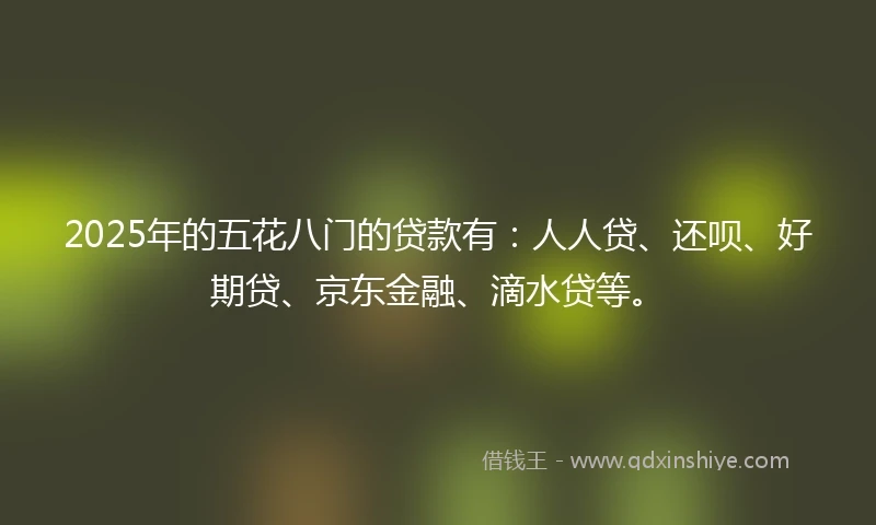 2025年的五花八门的贷款有：人人贷、还呗、好期贷、京东金融、滴水贷等。