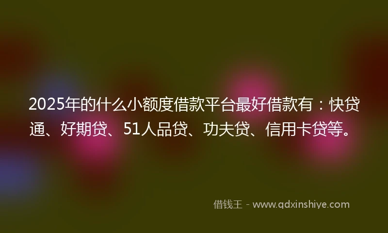 2025年的什么小额度借款平台最好借款有：快贷通、好期贷、51人品贷、功夫贷、信用卡贷等。