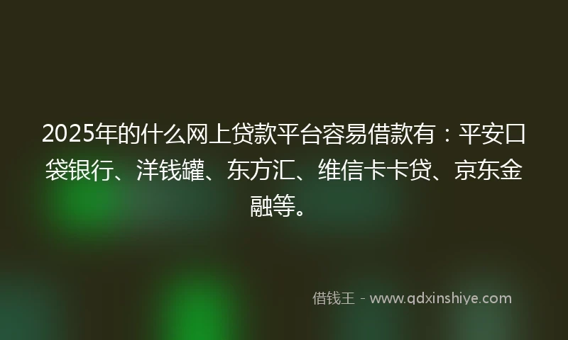 2025年的什么网上贷款平台容易借款有：平安口袋银行、洋钱罐、东方汇、维信卡卡贷、京东金融等。
