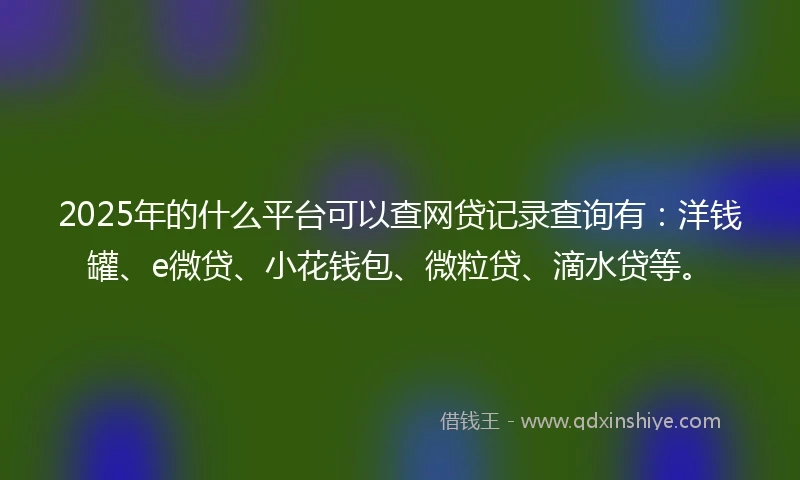 2025年的什么平台可以查网贷记录查询有：洋钱罐、e微贷、小花钱包、微粒贷、滴水贷等。