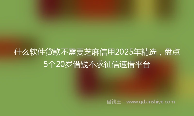 什么软件贷款不需要芝麻信用2025年精选，盘点5个20岁借钱不求征信速借平台