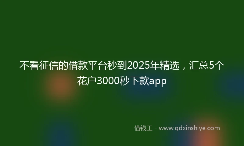 不看征信的借款平台秒到2025年精选，汇总5个花户3000秒下款app