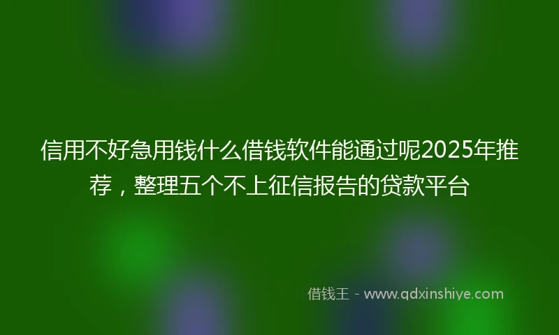 信用不好急用钱什么借钱软件能通过呢2025年推荐，整理五个不上征信报告的贷款平台