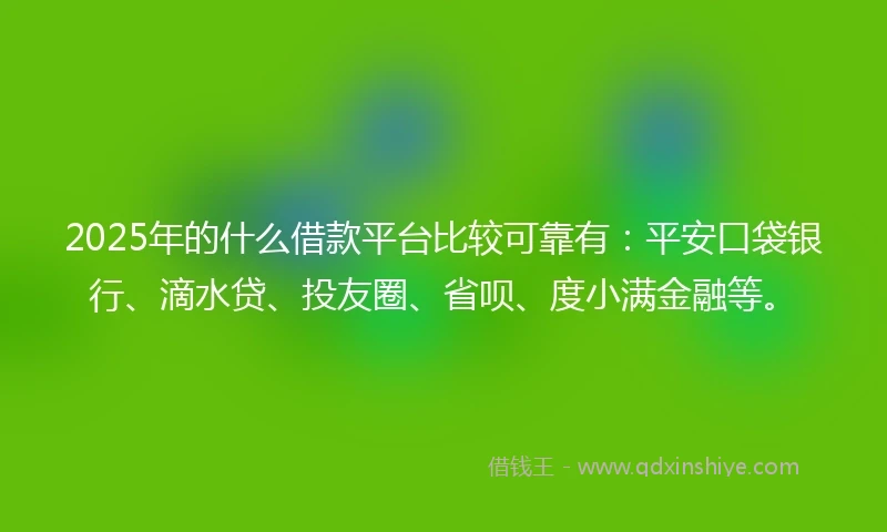 2025年的什么借款平台比较可靠有：平安口袋银行、滴水贷、投友圈、省呗、度小满金融等。