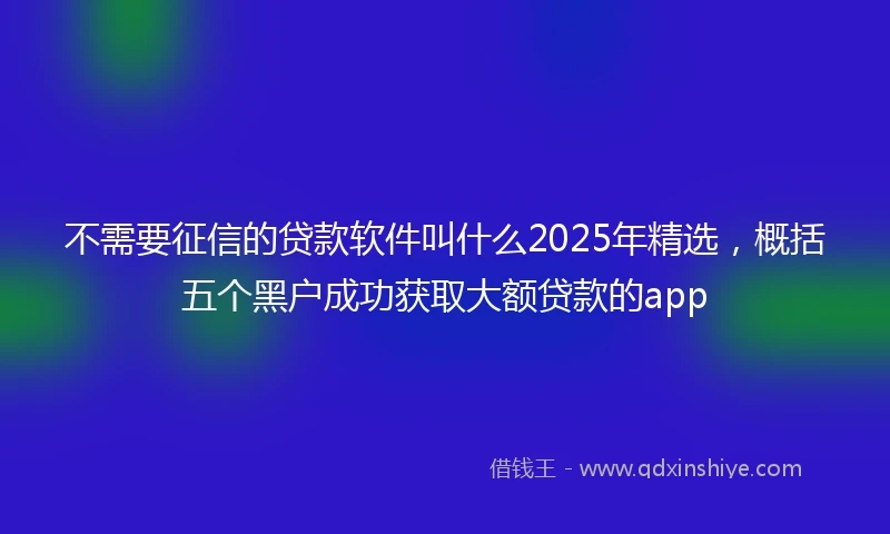 不需要征信的贷款软件叫什么2025年精选，概括五个黑户成功获取大额贷款的app