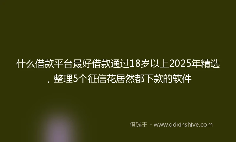 什么借款平台最好借款通过18岁以上2025年精选，整理5个征信花居然都下款的软件