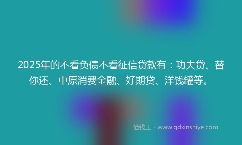 2025年的不看负债不看征信贷款有：功夫贷、替你还、中原消费金融、好期贷、洋钱罐等。