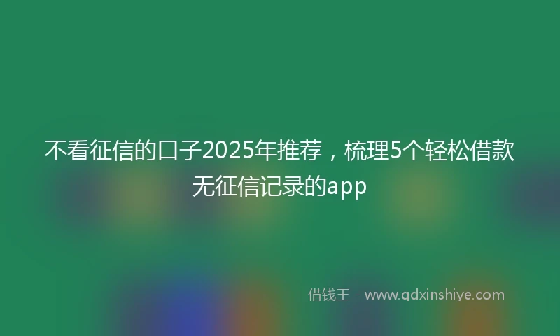 不看征信的口子2025年推荐，梳理5个轻松借款无征信记录的app