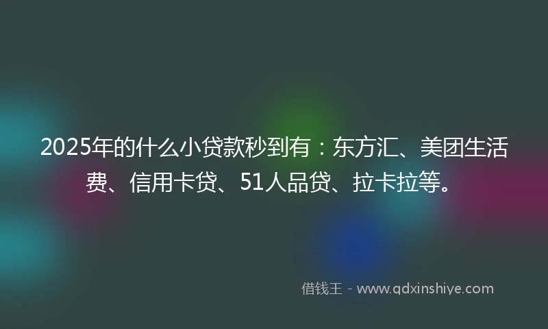 2025年的什么小贷款秒到有：东方汇、美团生活费、信用卡贷、51人品贷、拉卡拉等。