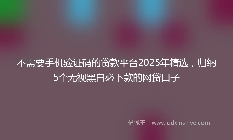 不需要手机验证码的贷款平台2025年精选，归纳5个无视黑白必下款的网贷口子