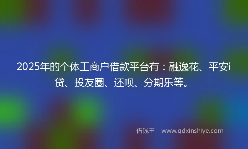 2025年的个体工商户借款平台有：融逸花、平安i贷、投友圈、还呗、分期乐等。