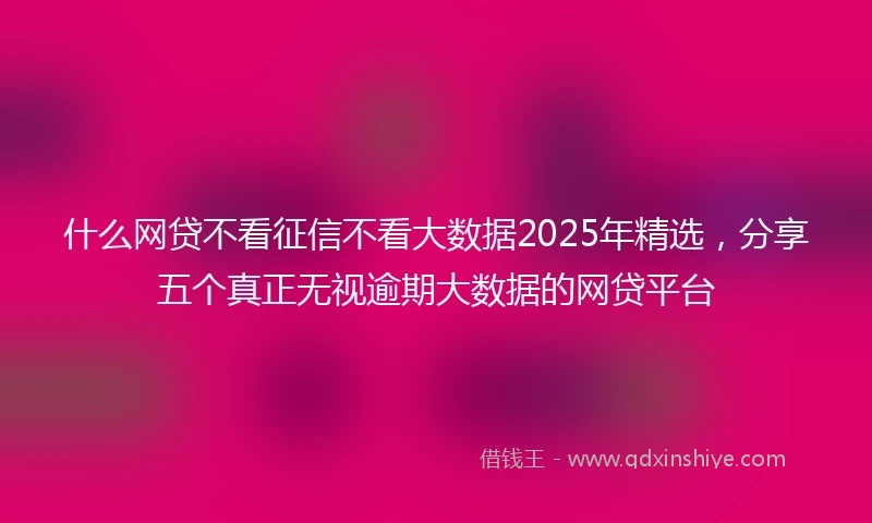 什么网贷不看征信不看大数据2025年精选，分享五个真正无视逾期大数据的网贷平台
