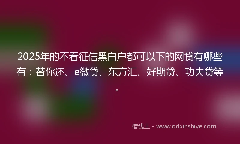 2025年的不看征信黑白户都可以下的网贷有哪些有：替你还、e微贷、东方汇、好期贷、功夫贷等。