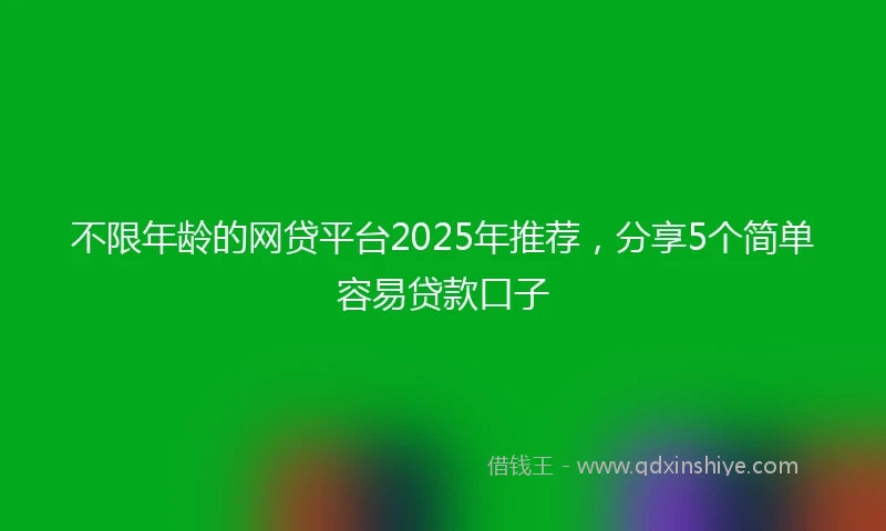 不限年龄的网贷平台2025年推荐，分享5个简单容易贷款口子