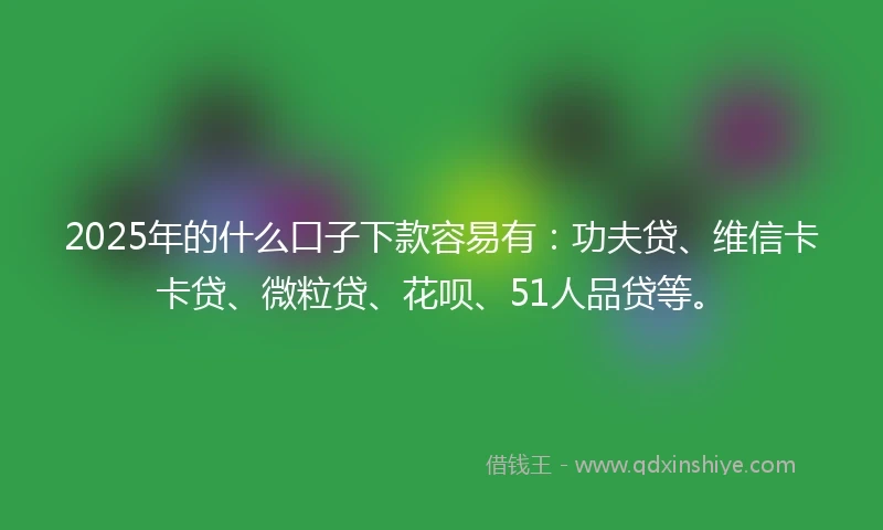 2025年的什么口子下款容易有：功夫贷、维信卡卡贷、微粒贷、花呗、51人品贷等。