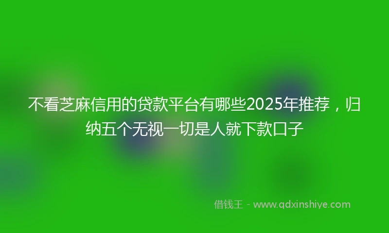 不看芝麻信用的贷款平台有哪些2025年推荐，归纳五个无视一切是人就下款口子