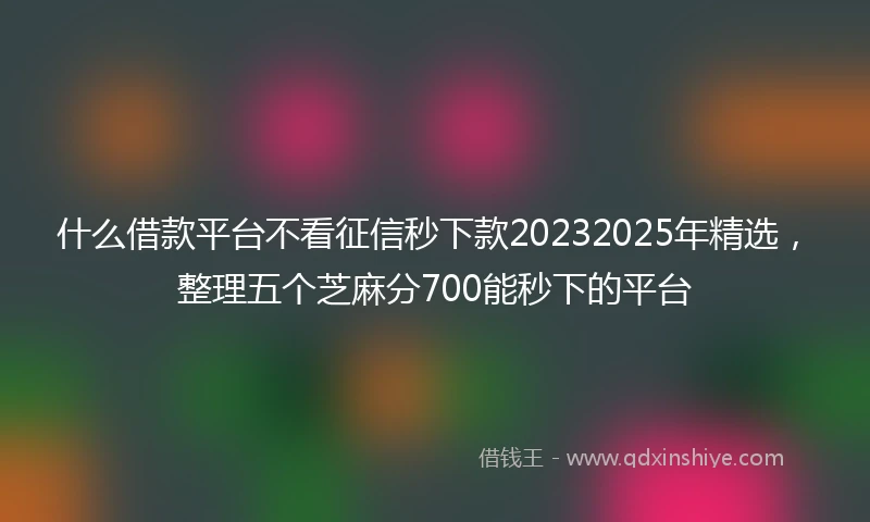 什么借款平台不看征信秒下款20232025年精选，整理五个芝麻分700能秒下的平台