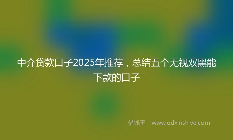 中介贷款口子2025年推荐，总结五个无视双黑能下款的口子