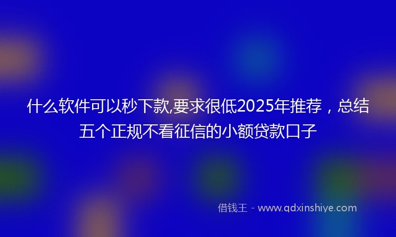 什么软件可以秒下款,要求很低2025年推荐，总结五个正规不看征信的小额贷款口子