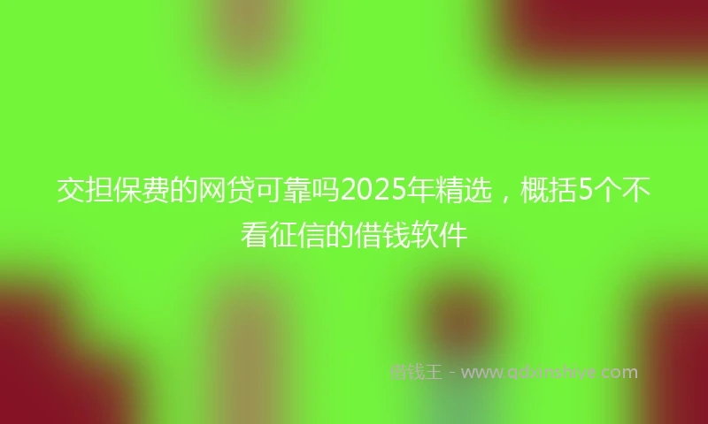 交担保费的网贷可靠吗2025年精选，概括5个不看征信的借钱软件