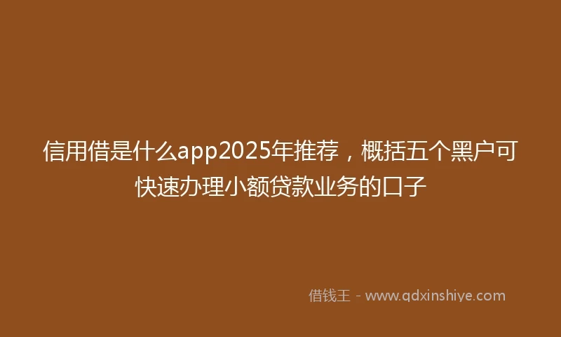 信用借是什么app2025年推荐，概括五个黑户可快速办理小额贷款业务的口子